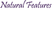 Natural features provide an essential element of the quality of life in Baraga Township. Natural Features